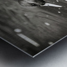 Duck in Black and White Metal print