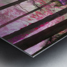The Glade Walkers Metal print