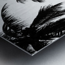 Ipanema B&W Metal print