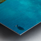 Boat Rudder   Kauai Hawaii 0516 Metal print