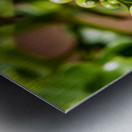 Kauai Coffee Company   Hawaii 0150 Metal print