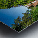 University of Georgia   Athens GA 06328 Metal print