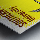 Southern Illinois University Salukis Metal print