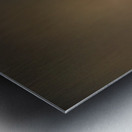 The Portal of Life Metal print