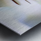 Literature  Metal print