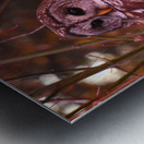 Owl on site Metal print