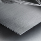 The Paradise of Reflections  Metal print