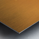 Golden Hour Grass Metal print