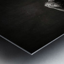 Le cambre Metal print