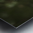 Avant les pommes Metal print