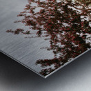 Chemin fleuri Metal print