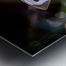 Papillon sur une fleur - butterfly beauty Metal print