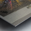 DD5F7819 F583 4E57 A016 A898ECC601F3 Metal print