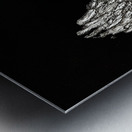 birdOFprey copy Metal print