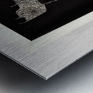 flying eye Metal print