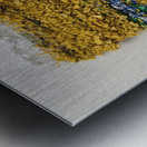 MiniCarpetAz Metal print