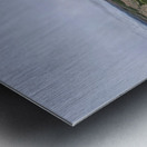 MA2DJI_0094 Metal print