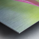 Hyde Flower Metal print