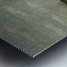 altesnational.spring landscape daubigny Metal print