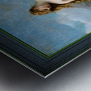 Venus by Alexandre Cabanel Old Masters Fine Art Reproduction Metal print