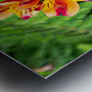 flowers nature Metal print