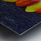 folhas Metal print