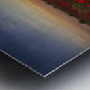 horizon plant sunrise Metal print