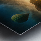 A Peaceful View Metal print