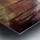 Forest Probes Metal print