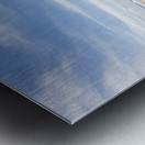 Lion Rock Metal print