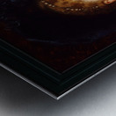 Bildnis einer Dame in blauem Kleid mit Hut by Anton Ebert Old Masters Classical Fine Art Reproduction Metal print