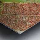 1985 NC State Carter Finley Stadium Art Metal print