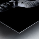 Terracotta Warriors Metal print