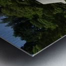 Ginkakuji Kyoto DSC_2158 Metal print