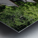 Ginkakuji Kyoto DSC_2250 Metal print