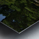 Ginkakuji Kyoto DSC_2320 Metal print