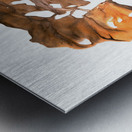 Leaves Series Metal print