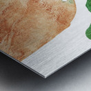 Leaves Series Metal print