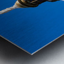 Georgia State Capitol Building   Atlanta GA 7190 Metal print