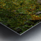 Fall Colors over a Country Road Metal print