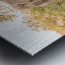 Elephants Metal print