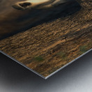 Monkey 2 Metal print