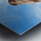 Delicate Arch Utah - on Film Metal print