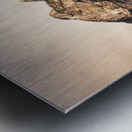 Yosemite - Half Dome Digital Metal print