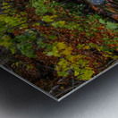 Fall Stream  Metal print