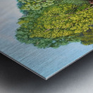 baagmorjii Metal print