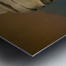 Terracotta Warrior  Metal print