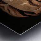 Terracotta Warrior Detail Metal print