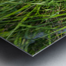 Alamo Fire Metal print