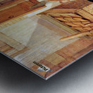 Goats in a yard Metal print